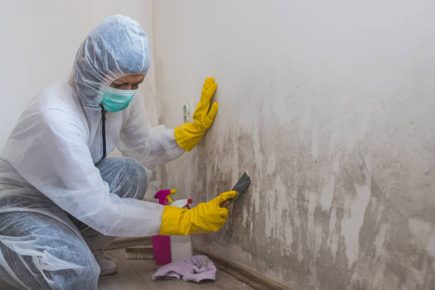Best Water Damage Restoration  in Grand Coulee, WA