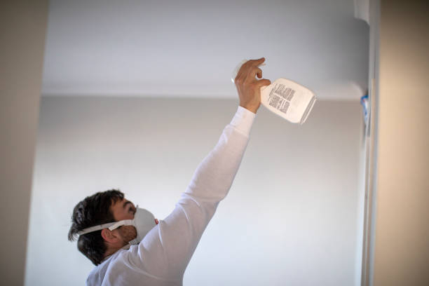 Best Crawl Space Mold Removal  in Grand Coulee, WA