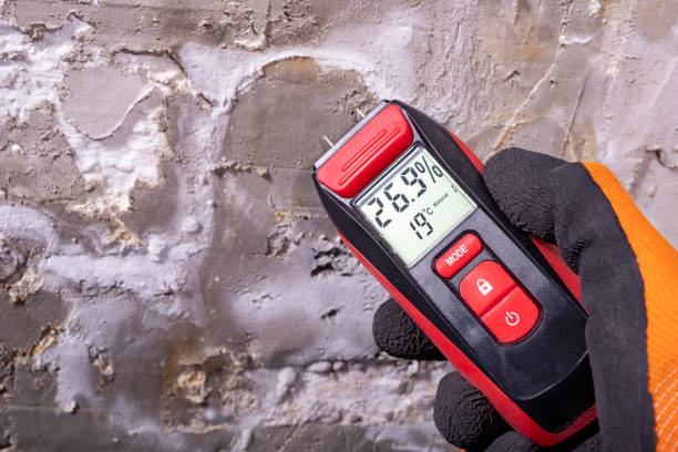 Best Local Mold Removal Service  in Grand Coulee, WA