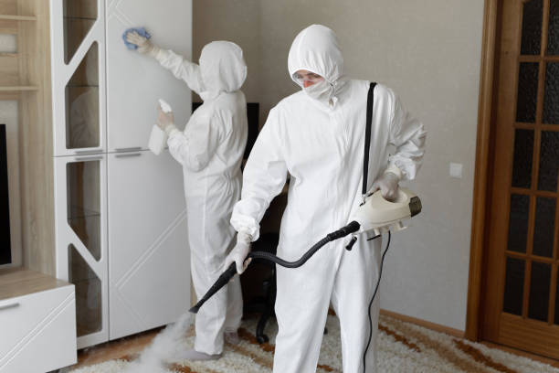 Best Attic Mold Removal  in Grand Coulee, WA