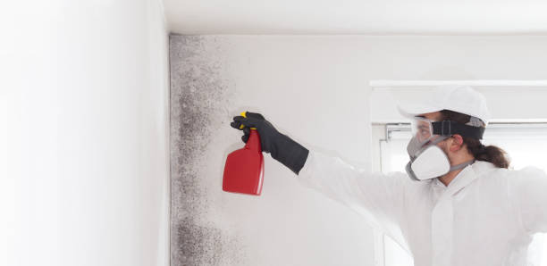 Best Mold Damage Repair  in Grand Coulee, WA