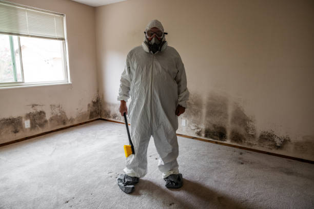 Best Same-Day Mold Removal  in Grand Coulee, WA