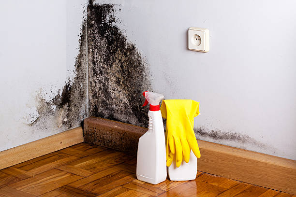 Water Damage Restoration in Grand Coulee, WA