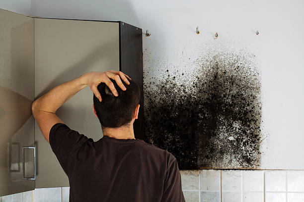 Best Residential Mold Removal  in Grand Coulee, WA